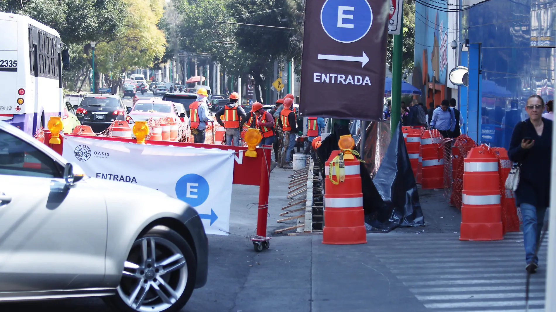 Miguel Angel de Quevedo-Oasis Coyoacan-Obras-Remodelacion (10)